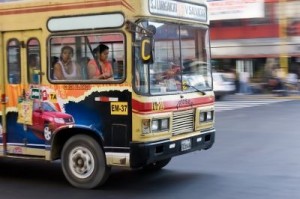 bus